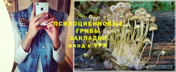 МДПВ Аркадак