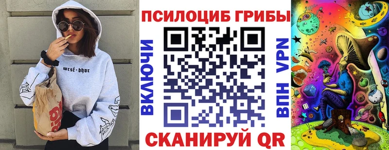 Псилоцибиновые грибы Cubensis Купить где Зарайск